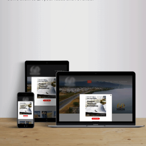 ready-WIHCON-Audit-Pic Expert Website Audit