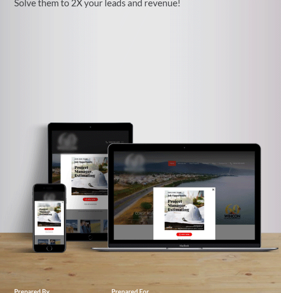 Expert Website Audit